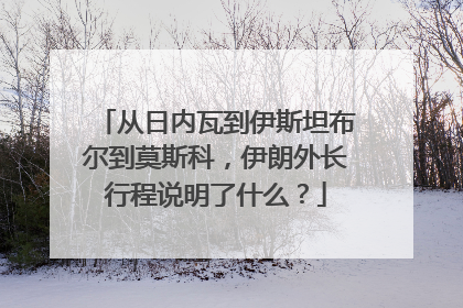从日内瓦到伊斯坦布尔到莫斯科，伊朗外长行程说明了什么？