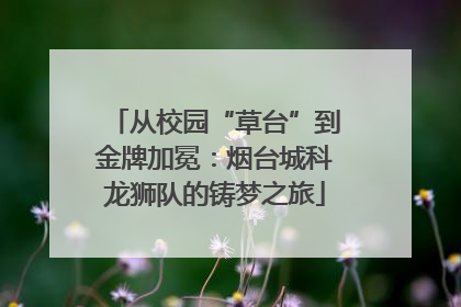 从校园“草台”到金牌加冕：烟台城科龙狮队的铸梦之旅