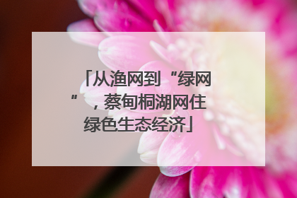 从渔网到“绿网”，蔡甸桐湖网住绿色生态经济