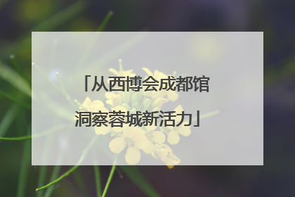 从西博会成都馆洞察蓉城新活力