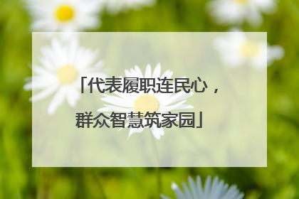 代表履职连民心，群众智慧筑家园
