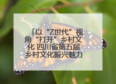 以“Z世代”视角“打开”乡村文化 四川省第五届乡村文化振兴魅力竞演大赛启动
