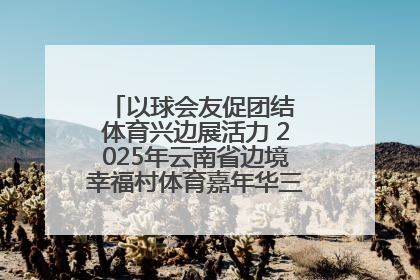 以球会友促团结 体育兴边展活力 2025年云南省边境幸福村体育嘉年华三人篮球赛圆满收官