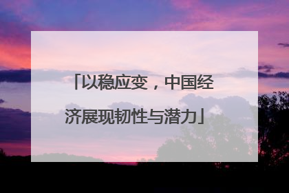 以稳应变，中国经济展现韧性与潜力
