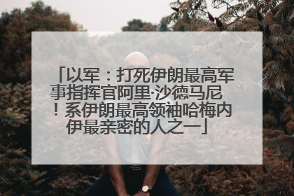 以军：打死伊朗最高军事指挥官阿里·沙德马尼！系伊朗最高领袖哈梅内伊最亲密的人之一