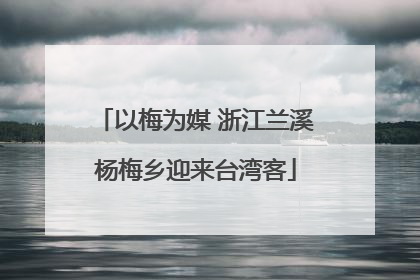 以梅为媒 浙江兰溪杨梅乡迎来台湾客