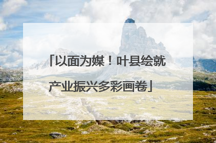 以面为媒！叶县绘就产业振兴多彩画卷