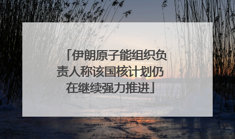 伊朗原子能组织负责人称该国核计划仍在继续强力推进
