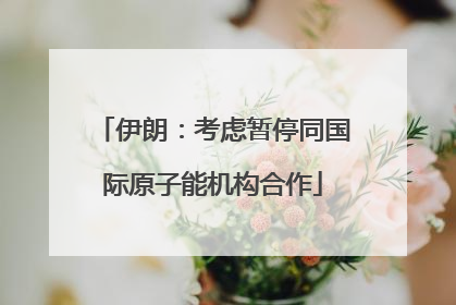伊朗：考虑暂停同国际原子能机构合作