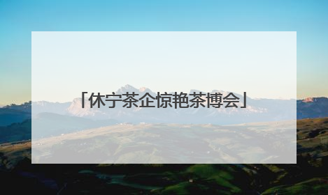 休宁茶企惊艳茶博会