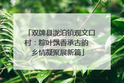 双牌县泷泊镇观文口村：粽叶飘香承古韵 乡情凝聚展新篇