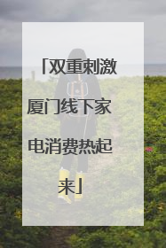 双重刺激厦门线下家电消费热起来