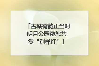 古城荷韵正当时 明月公园邀您共赏“别样红”
