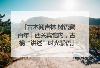 古木阅吉林 树语藏百年｜西关宾馆内，古榆“讲述”时光絮语