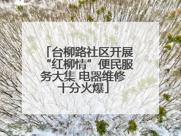 台柳路社区开展“红柳情”便民服务大集 电器维修十分火爆