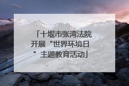 十堰市张湾法院开展“世界环境日”主题教育活动