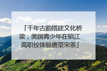 千年古韵搭建文化桥梁，美国青少年在镇江高职校体验唐菓宋茶