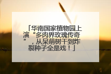 华南国家植物园上演“多肉界玫瑰传奇”，从呆萌树干到炸裂种子全是戏！