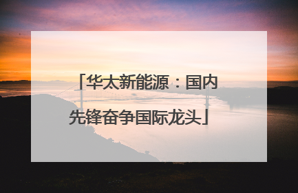 华太新能源：国内先锋奋争国际龙头