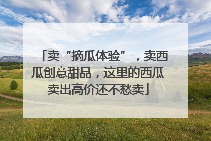 卖“摘瓜体验”，卖西瓜创意甜品，这里的西瓜卖出高价还不愁卖