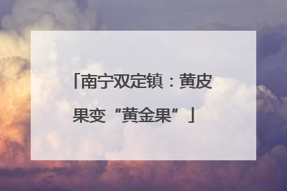 南宁双定镇：黄皮果变“黄金果”