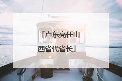 卢东亮任山西省代省长