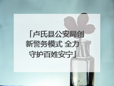卢氏县公安局创新警务模式 全力守护百姓安宁