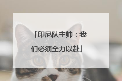 印尼队主帅：我们必须全力以赴