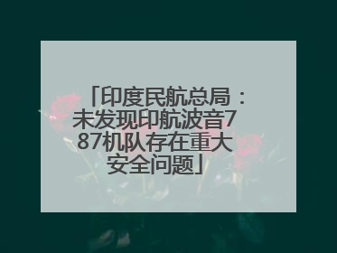 印度民航总局：未发现印航波音787机队存在重大安全问题