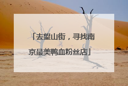 去望山街，寻找南京最美鸭血粉丝店
