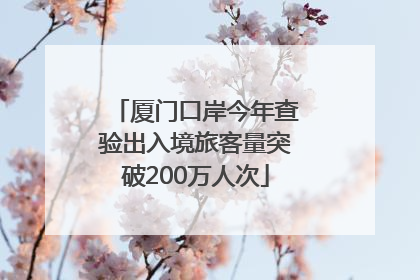 厦门口岸今年查验出入境旅客量突破200万人次