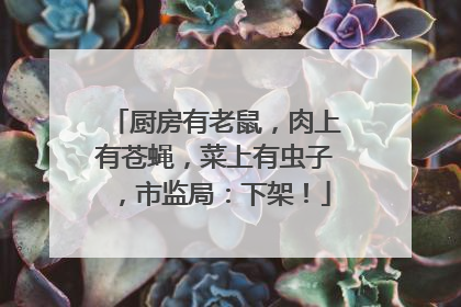 厨房有老鼠，肉上有苍蝇，菜上有虫子，市监局：下架！