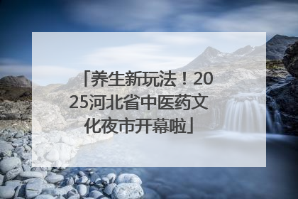 养生新玩法！2025河北省中医药文化夜市开幕啦