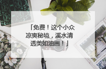 免费！这个小众凉爽秘境，溪水清透美如油画！