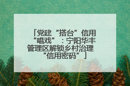 党建“搭台”信用“唱戏”：宁阳华丰管理区解锁乡村治理“信用密码”