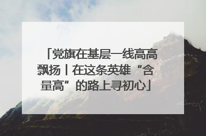 党旗在基层一线高高飘扬丨在这条英雄“含量高”的路上寻初心