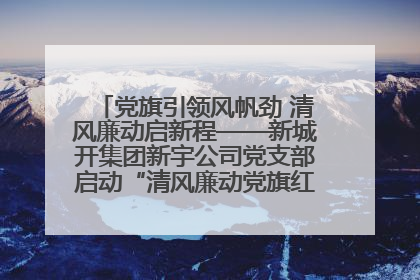 党旗引领风帆劲 清风廉动启新程——新城开集团新宇公司党支部启动“清风廉动党旗红”系列活动