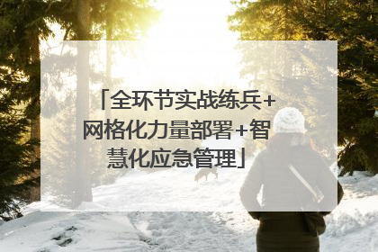 全环节实战练兵+网格化力量部署+智慧化应急管理