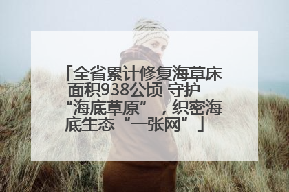 全省累计修复海草床面积938公顷 守护“海底草原”，织密海底生态“一张网”