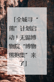 全城寻“熊”计划启动！无锡博物院“博物熊抱集”来了