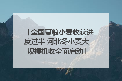 全国夏粮小麦收获进度过半 河北冬小麦大规模机收全面启动