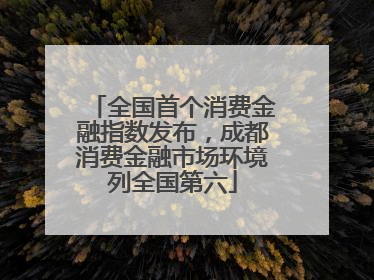 全国首个消费金融指数发布，成都消费金融市场环境列全国第六