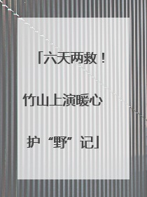 六天两救！竹山上演暖心护“野”记
