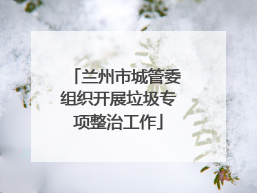 兰州市城管委组织开展垃圾专项整治工作