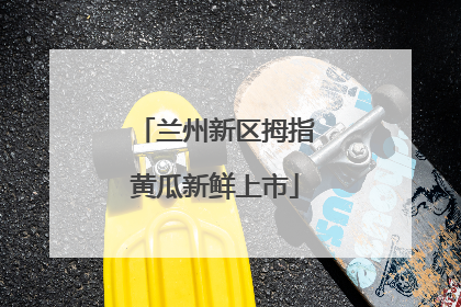 兰州新区拇指黄瓜新鲜上市