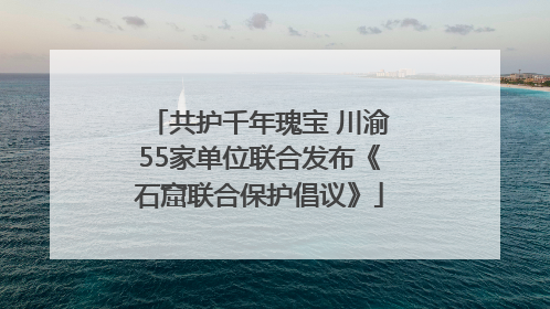 共护千年瑰宝 川渝55家单位联合发布《石窟联合保护倡议》