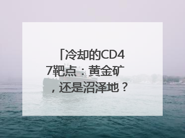 冷却的CD47靶点：黄金矿，还是沼泽地？｜海斌访谈