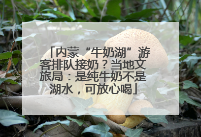 内蒙“牛奶湖”游客排队接奶？当地文旅局：是纯牛奶不是湖水，可放心喝