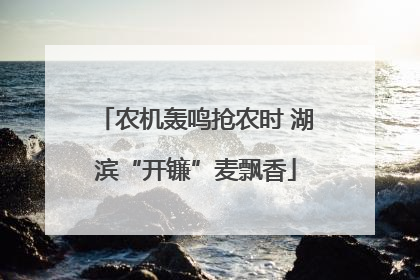 农机轰鸣抢农时 湖滨“开镰”麦飘香