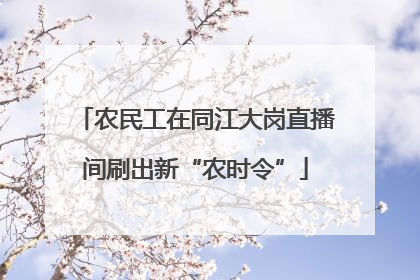 农民工在同江大岗直播间刷出新“农时令”